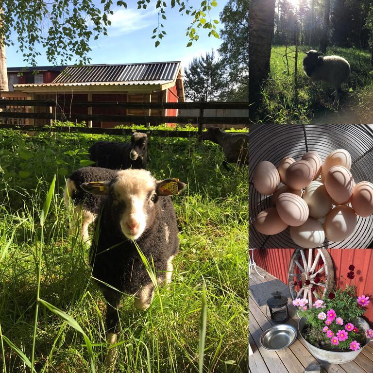 Lillemyrsgarden Pension Forshaga Buitenkant foto